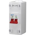 Live Electrical PEN2100D 2 Way Plastic Enclosure with 100A DP Main Switch